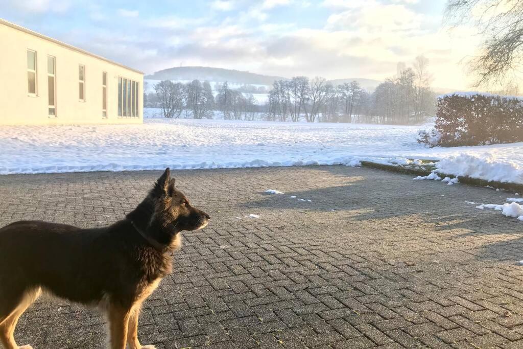 Ferienhaus Talblick Alpenrod Exteriér fotografie